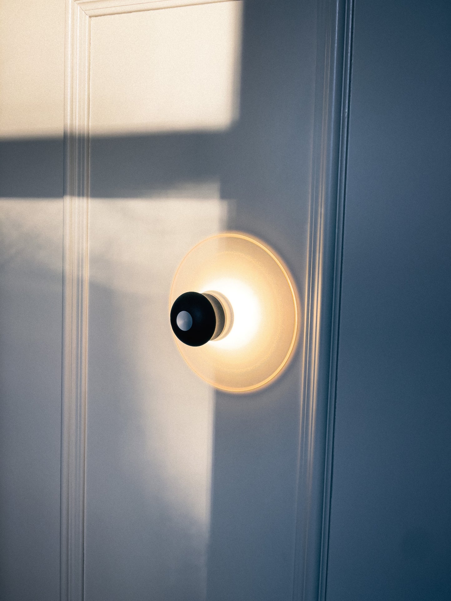 Saugnapf-Leuchte Neozoon