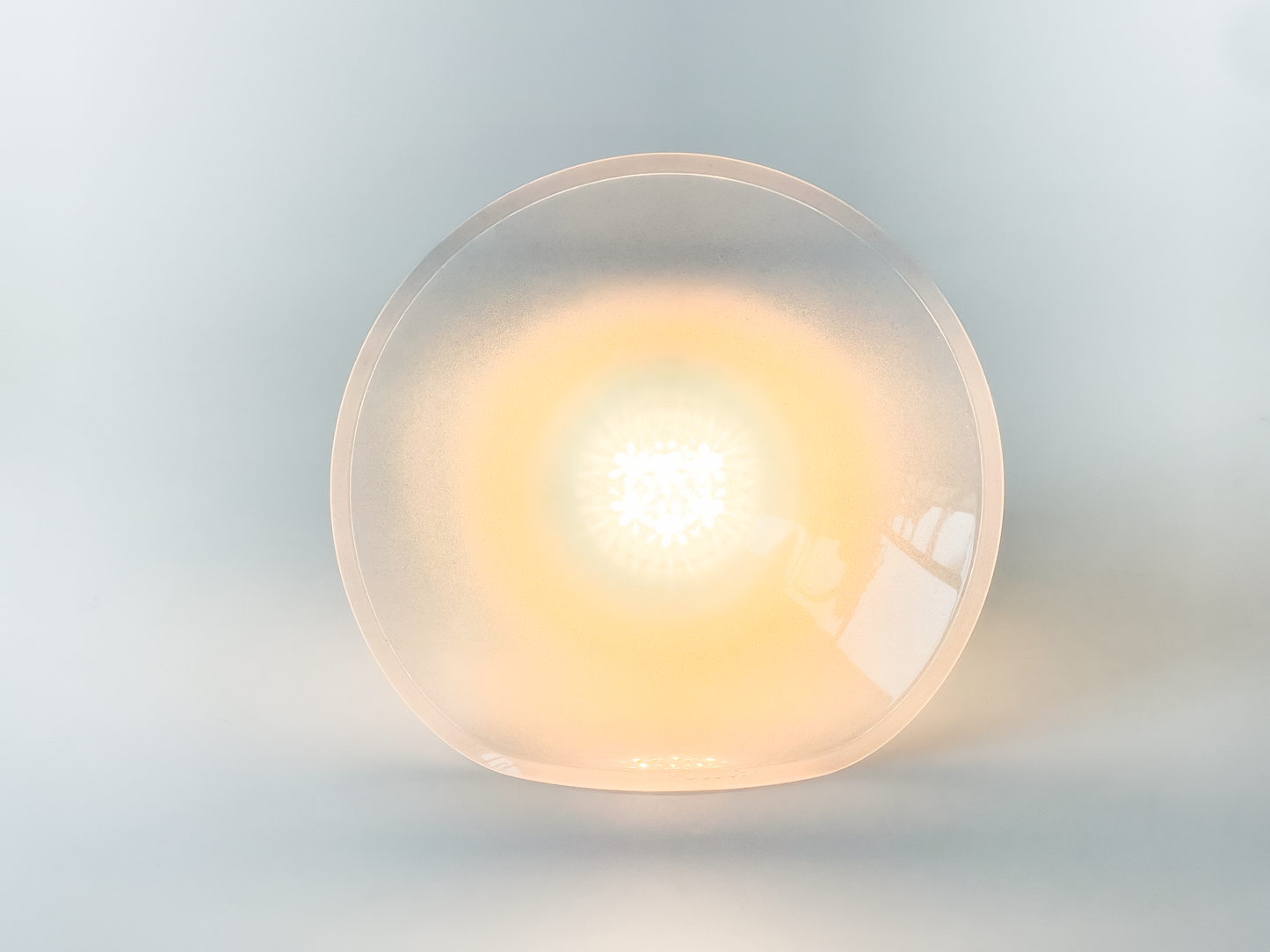 Saugnapf-Leuchte Neozoon